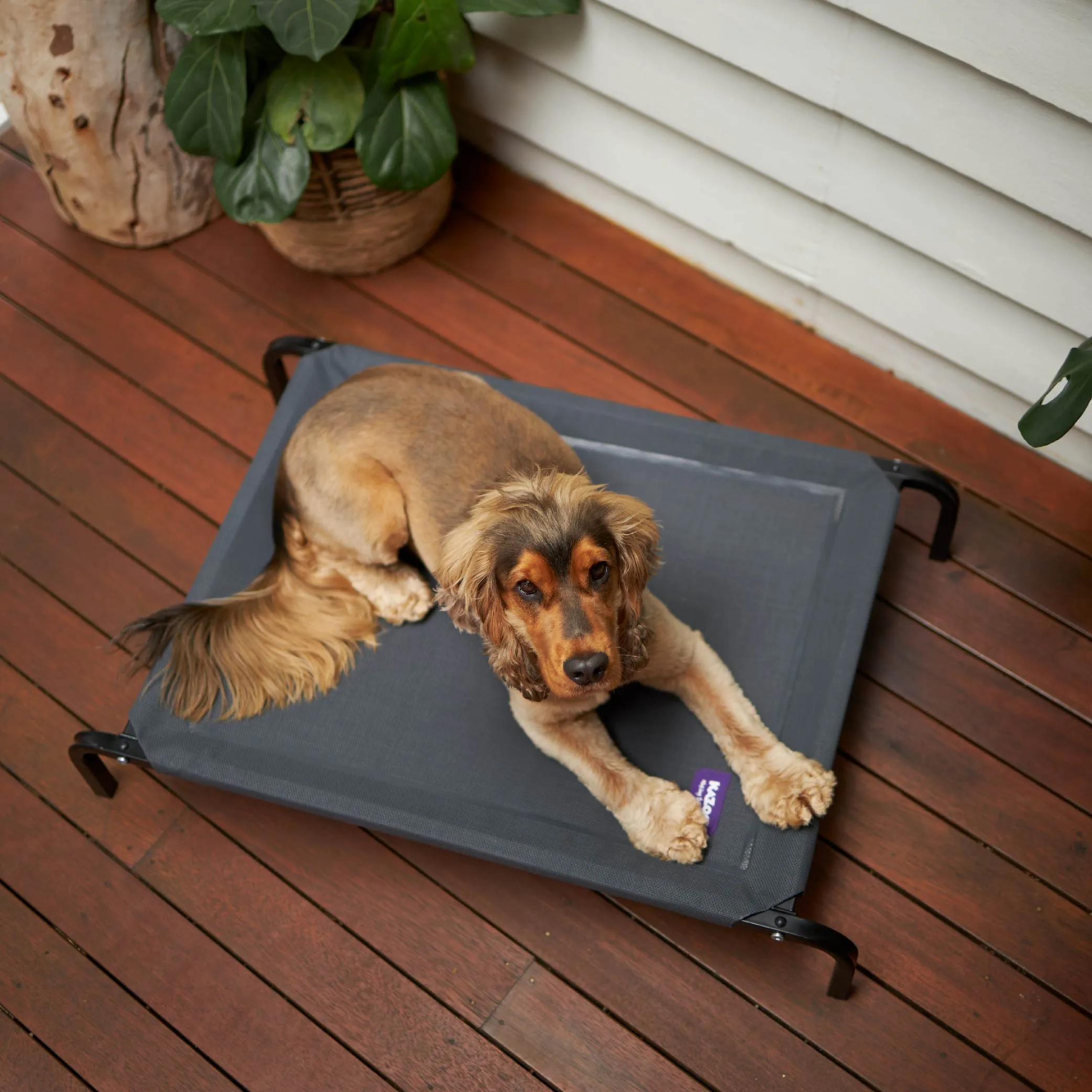 Premium Outdoor Dog Bed - Charcoal