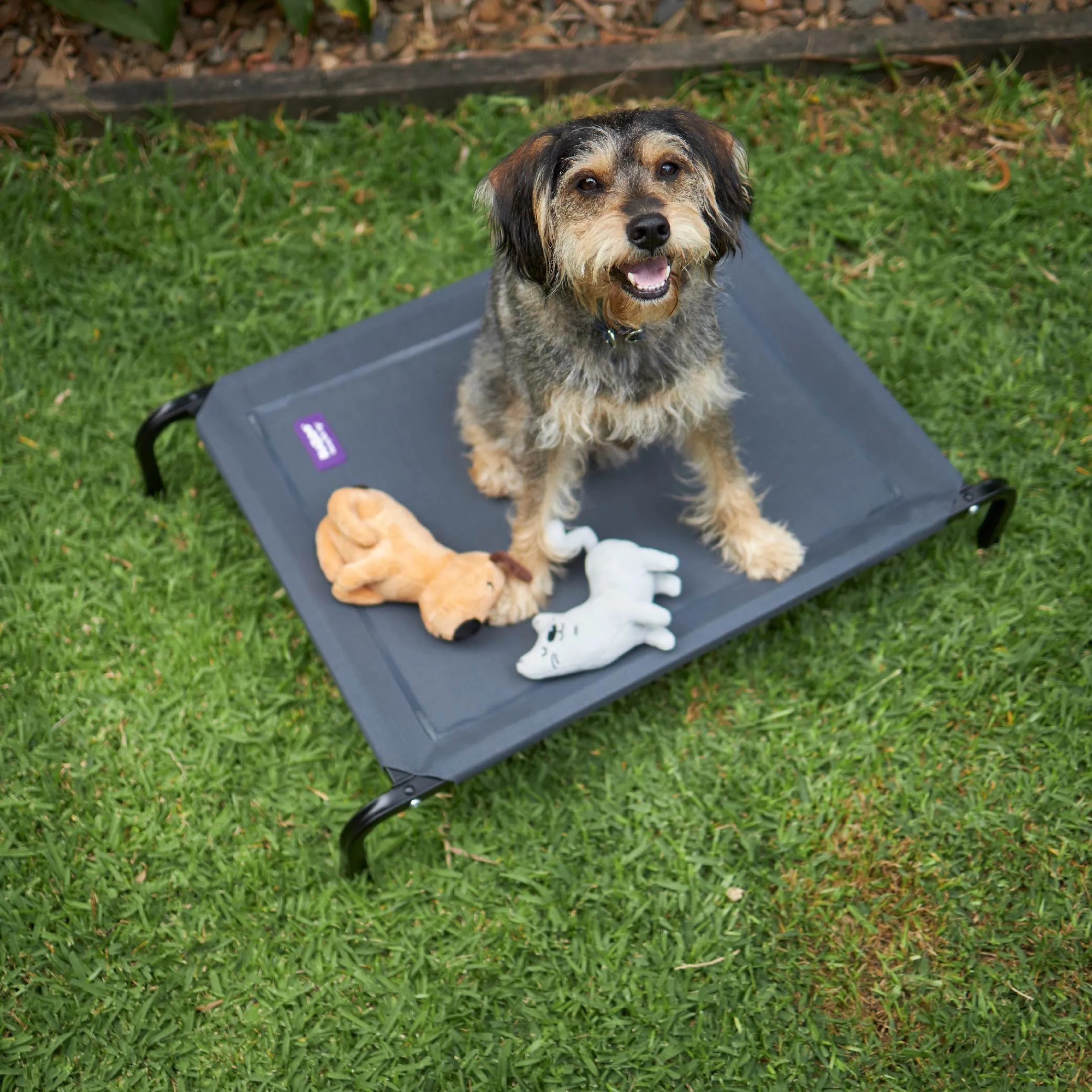 Premium Outdoor Dog Bed - Charcoal