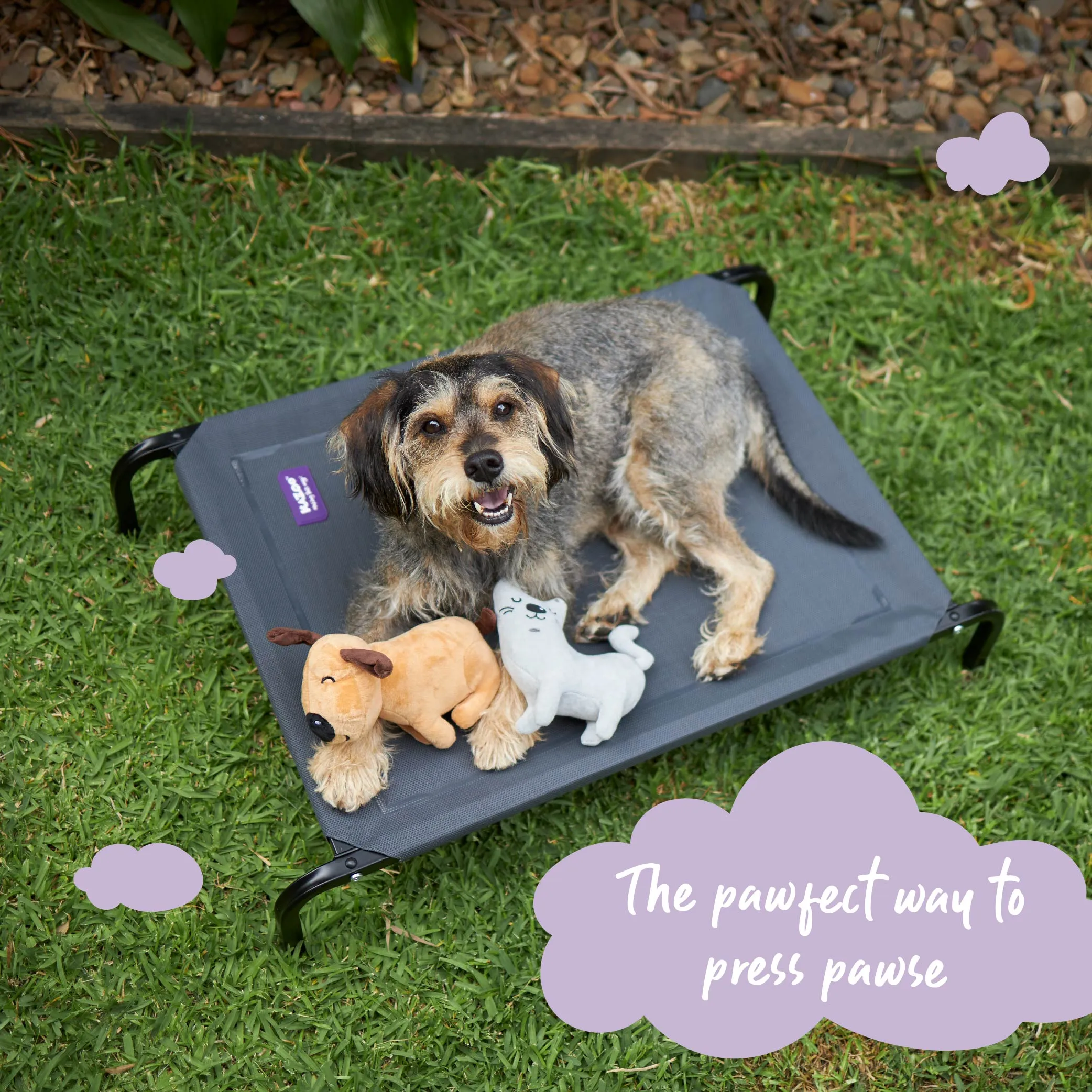 Premium Outdoor Dog Bed - Charcoal