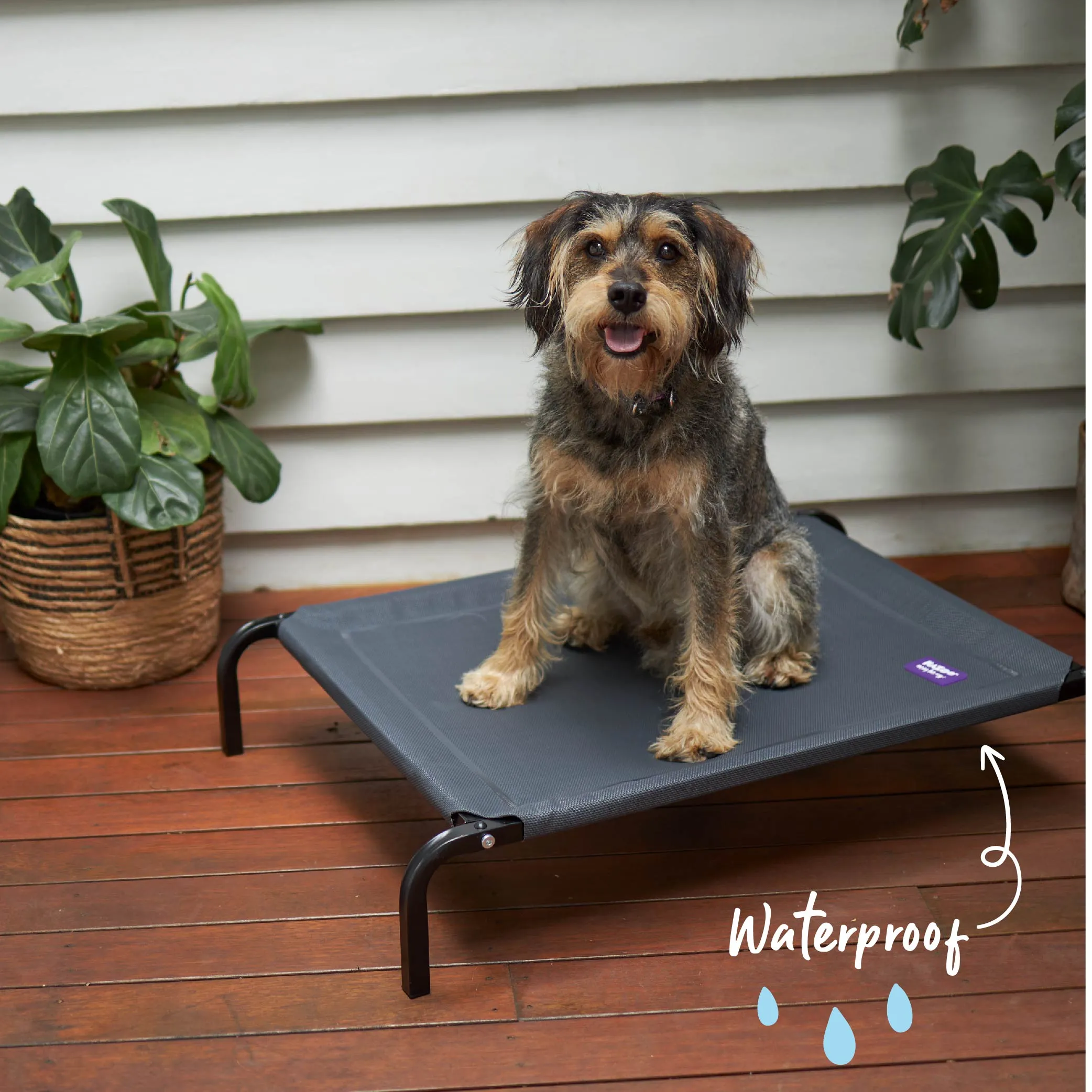 Premium Outdoor Dog Bed - Charcoal