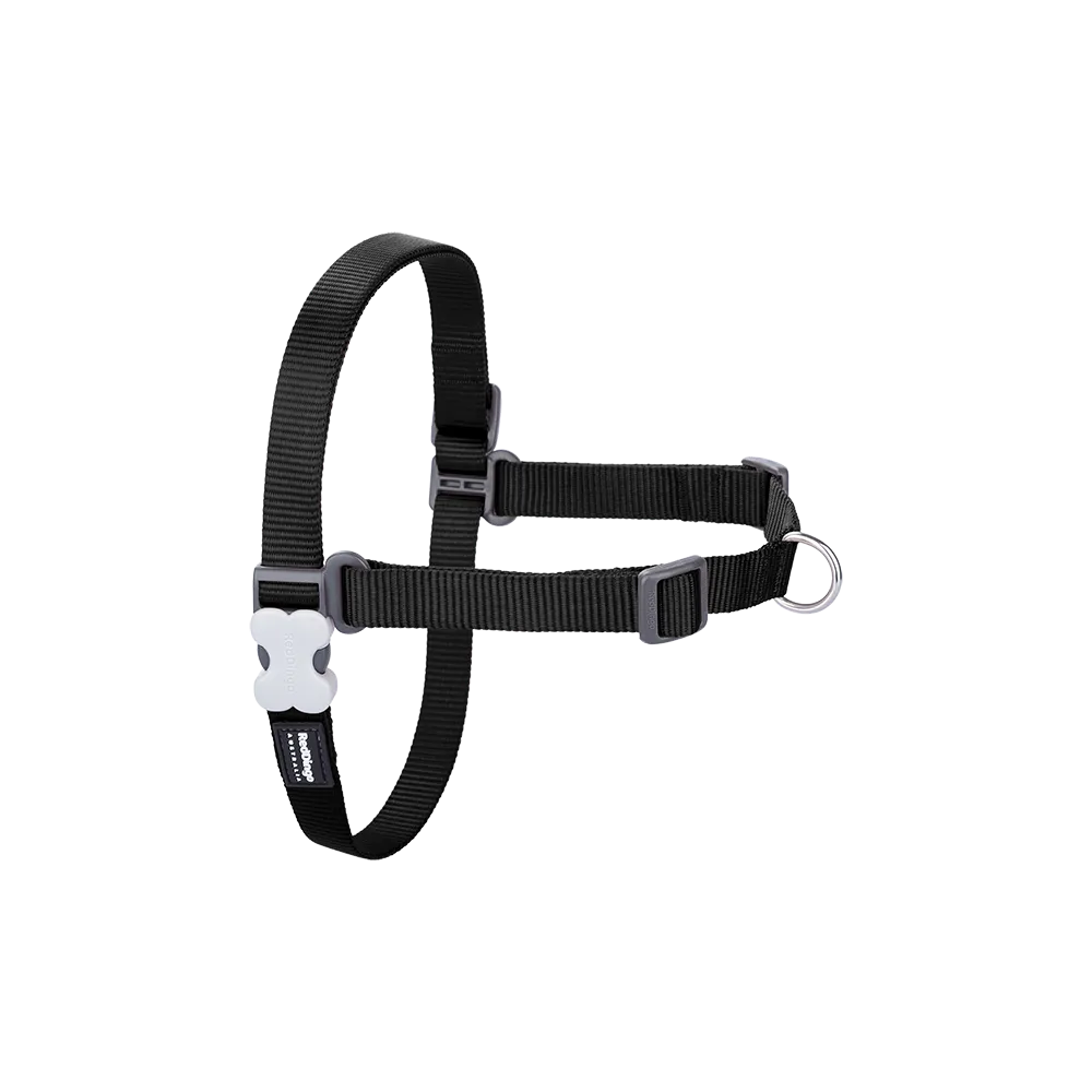 Red Dingo Dog No-Pull Harness - Black XL