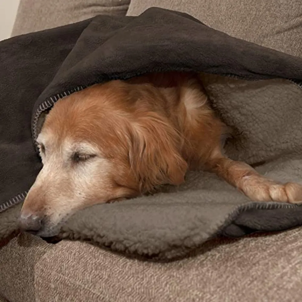 Self-Warming Dog Blanket