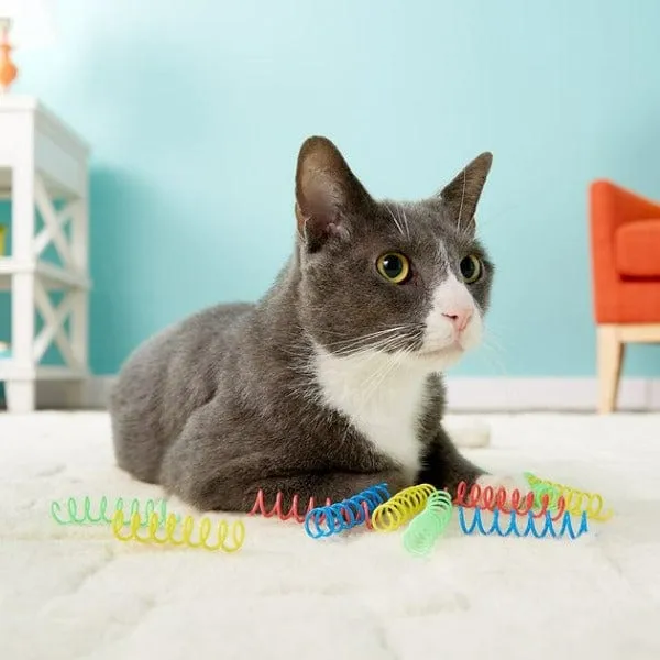 Spot Colorful Springs Cat Toy; Thin
