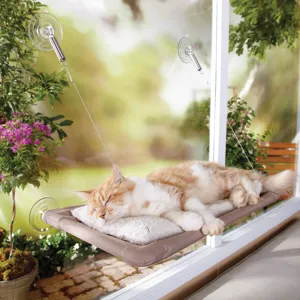 Sunny Seat Window Perch