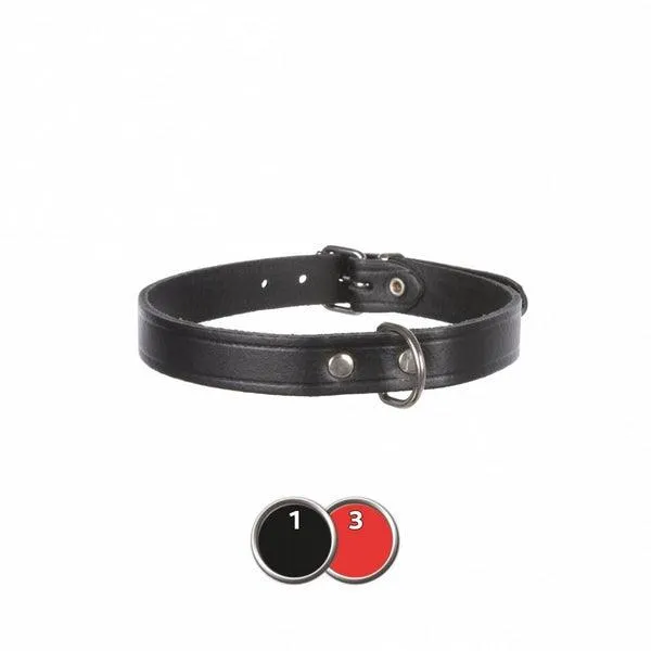 TRIXIE BASIC COLOR STUDS LEATHER M-L 22MM 19651