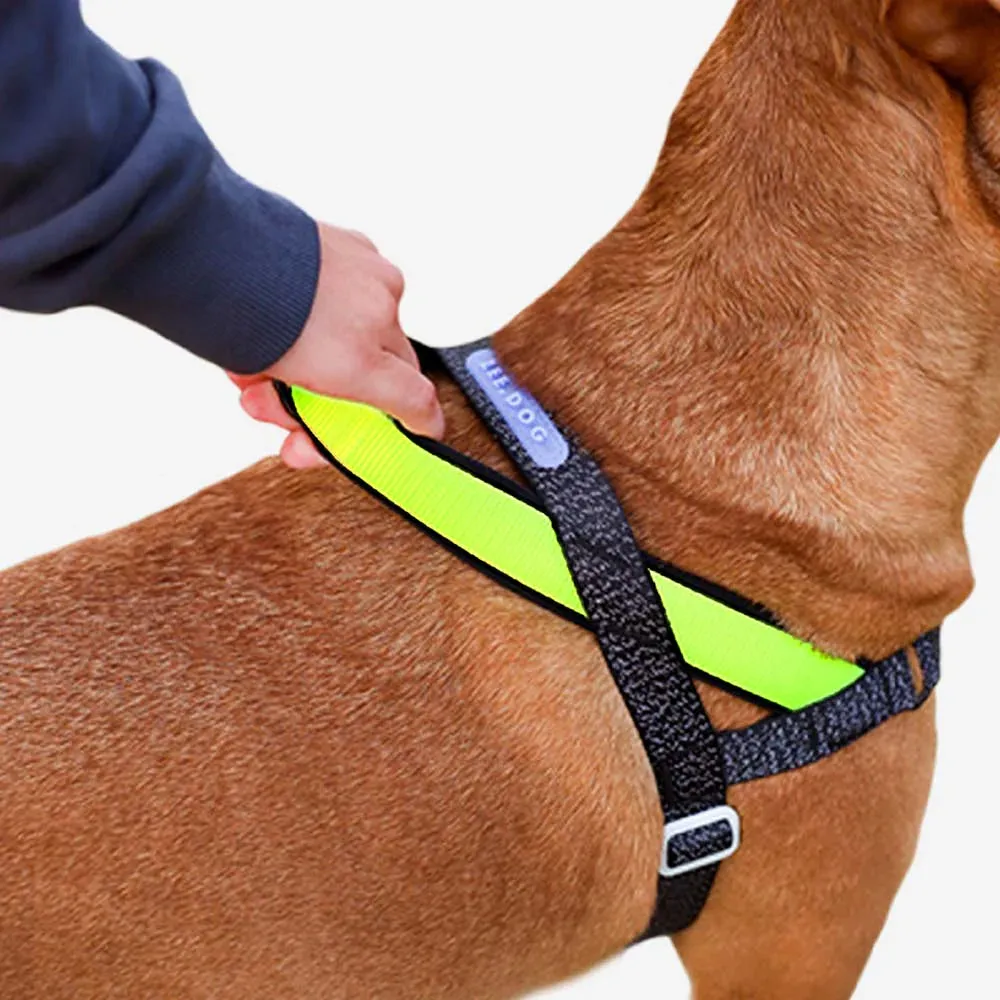 Zee.Dog Softer Walk Nox Reflective Dog Harness Small^^^