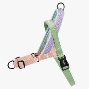 Zee.Dog Softer Walk Peach Dog Harness Medium^^^